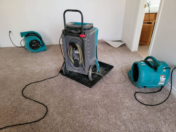 Water damage restoration insurance claims in IL