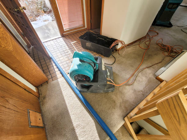 Best Sewage cleanup and water damage restoration  in West Peoria, IL