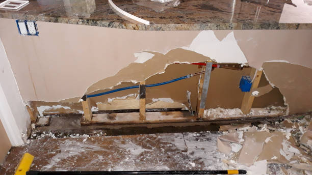 Best Flood damage cleanup  in West Peoria, IL