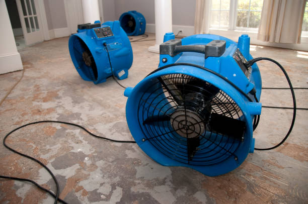Best Sewage cleanup and water damage restoration  in West Peoria, IL