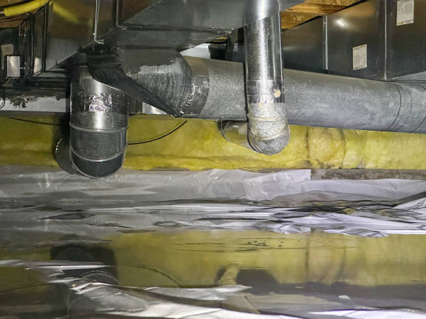 Best Mold removal after water damage  in West Peoria, IL