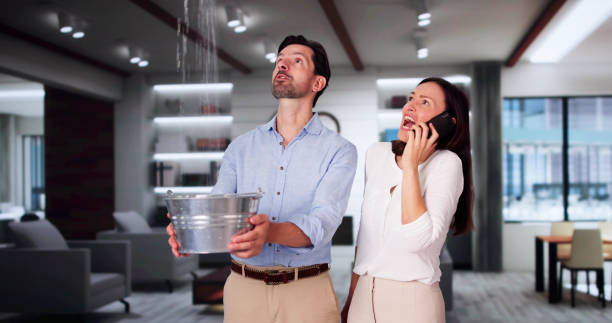 Best Local water damage restoration  in West Peoria, IL