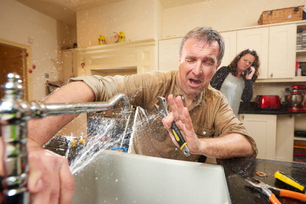 Best Flooded house restoration  in West Peoria, IL